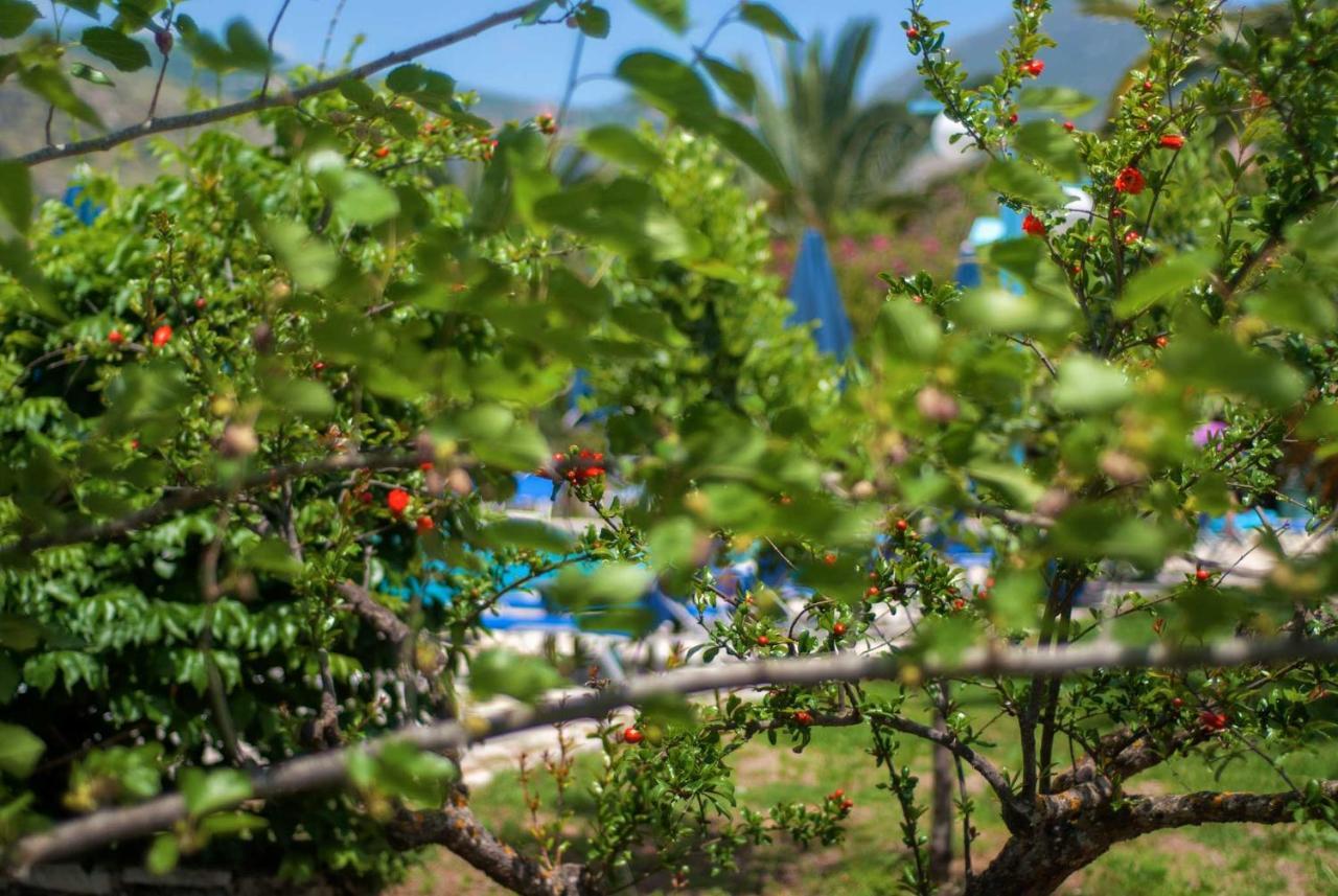 Efrosini Village Katelios Ngoại thất bức ảnh