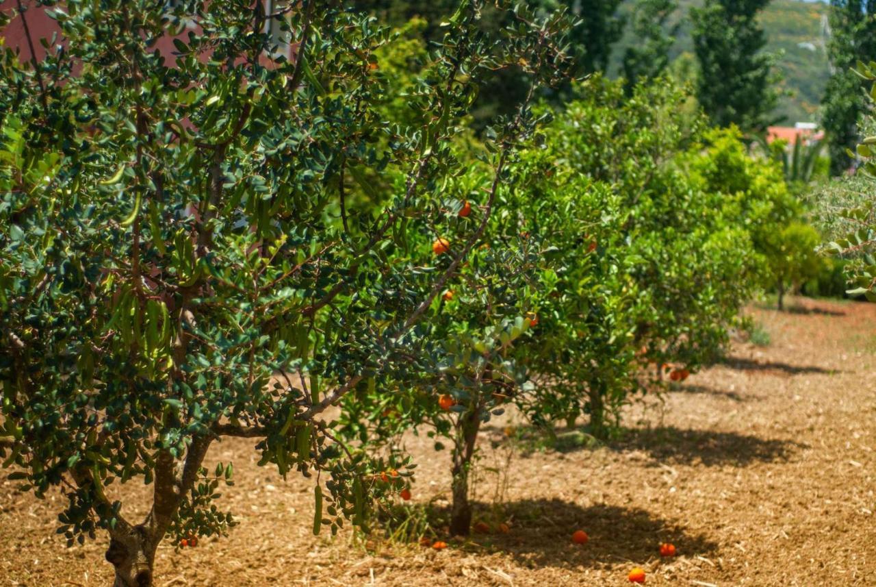 Efrosini Village Katelios Ngoại thất bức ảnh
